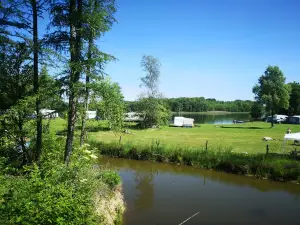 Campsite Insko Linówko