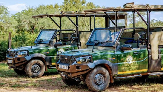 Royal Safaris
