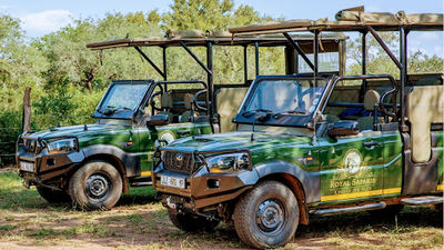 Royal Safaris