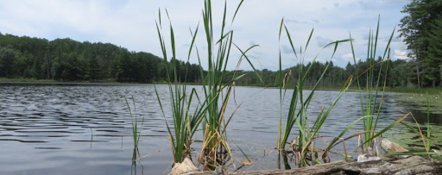 Whitlock Lake Campground