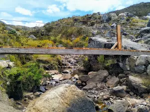 Páramo De Santurbán