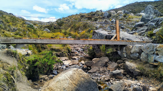 Páramo De Santurbán