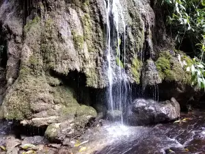 Cueva el Chocó - Gámbita, Santander