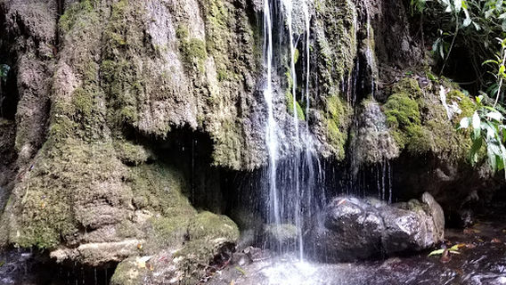 Cueva el Chocó - Gámbita, Santander