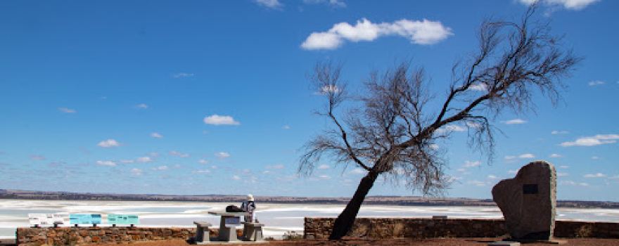 Dumbleyung Lake Lookout