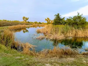 Fishing Ponds