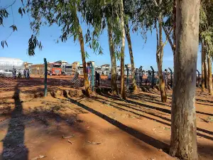 Fazenda Saudades