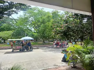 Museo Paleontologico