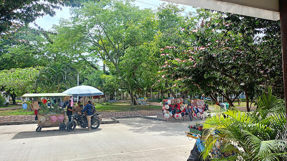 Museo Paleontologico