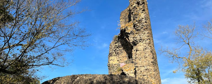 Tomburg Castle
