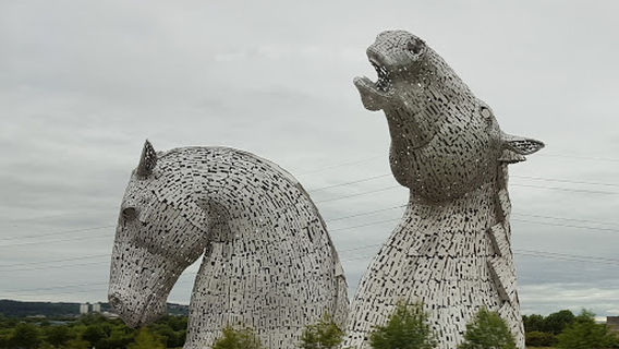 Grangemouth Stags Rugby Club