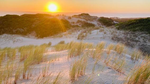 28 Mile Crossing Campground - Coorong National Park (CG)