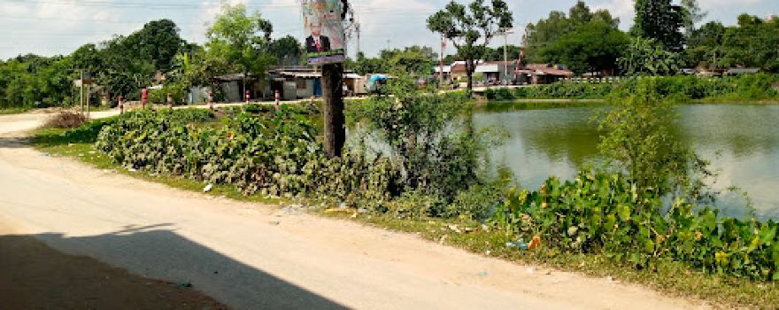 Abdul Hamid Park