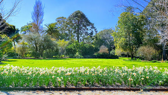 Williamstown