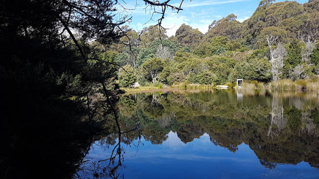 Upper Natone Forest Reserve