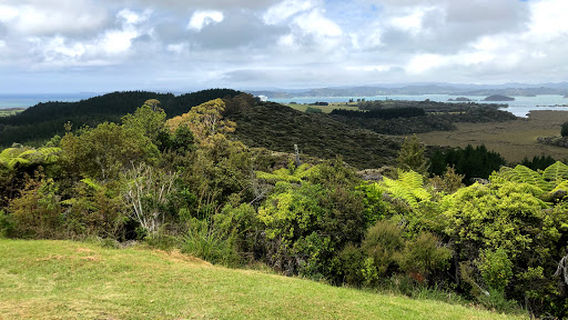 Mount Bedisloe