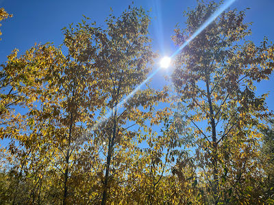 Bozeman Pond
