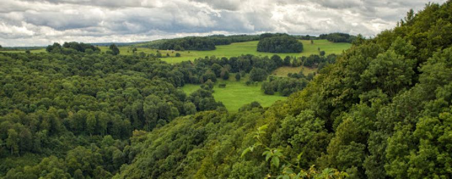 Mörikefelsen