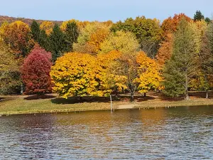 Leaser Lake Park