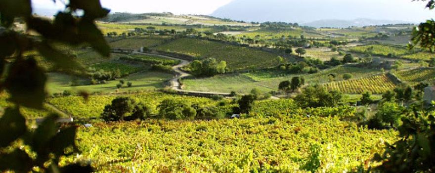 Cantina Puggioni Giampietro