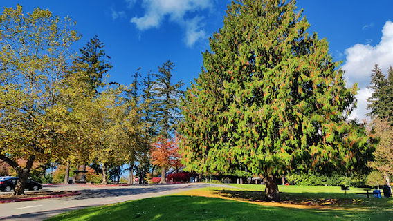 Angle Lake Beach