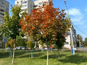 Парк "Поколений"