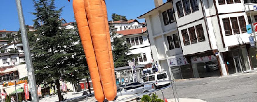 Atatürk Parkı