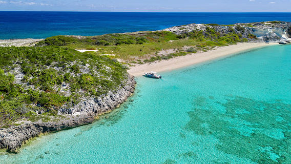 Pig Beach