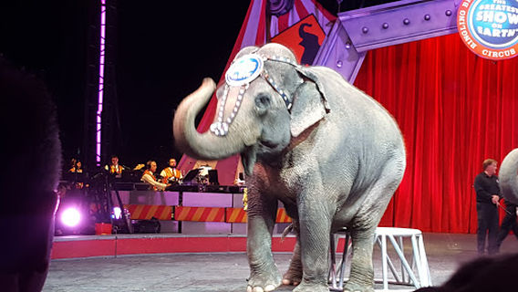 Alliant Energy Power House