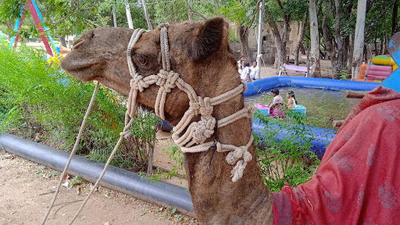 Парк Нешнел