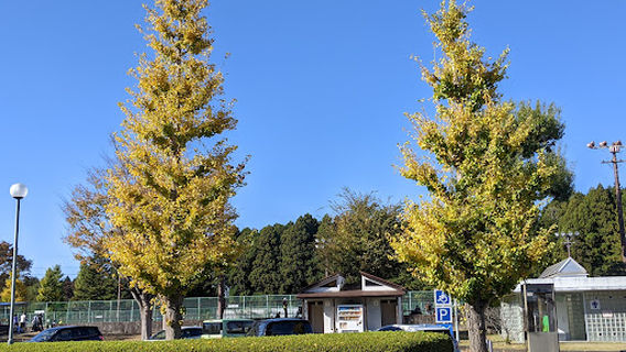 なかLuckyFM公園(那珂総合公園)