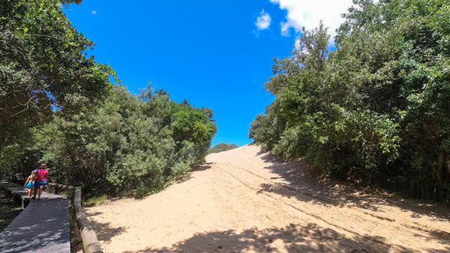 Umlalazi Ezemvelo KZN Wildlife park