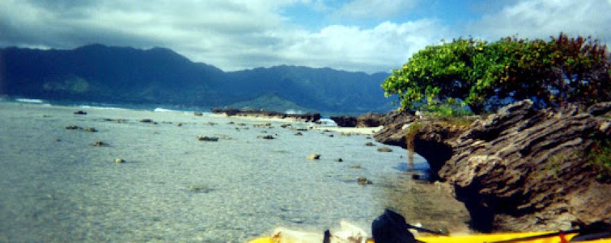 Kapapa Island Seabird Sanctuary