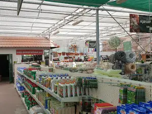 Oázis Kertészet Ajka