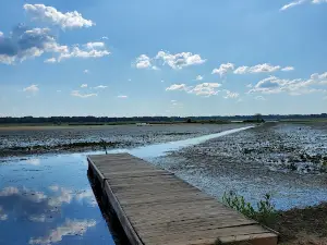 Sue And Wes Dixon Waterfowl Refuge
