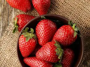 Berry Lands