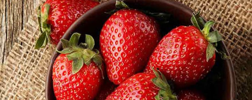 Berry Lands