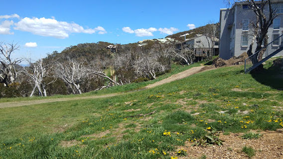Mount Buller