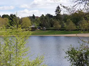 Etang de La Roussille