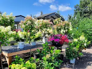 Wood River Garden Store