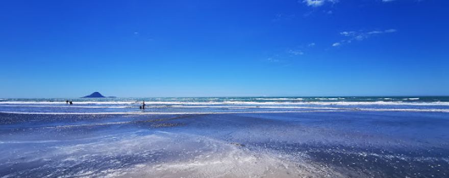 Wharekura Reserve