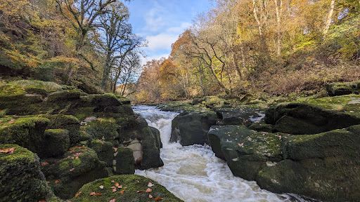 The Strid