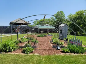 A Maze'n Farmyard LLC