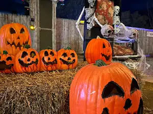 Scarefest Scream Park