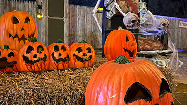 Scarefest Scream Park