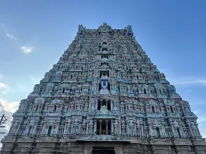 Arulmigu Sri Vidhya Rajagopalaswamy Temple, Mannargudi