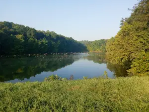 Perry State Forest