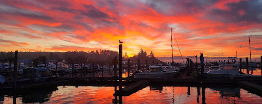 Sea Breeze Charters