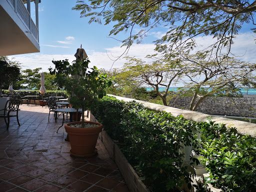 Parrot Cay