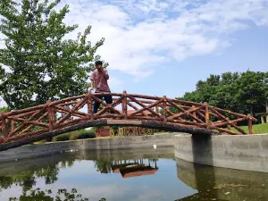 Town Park